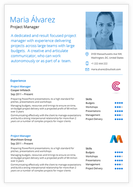 Blue professional resume preview