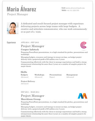 Sales manager resume preview